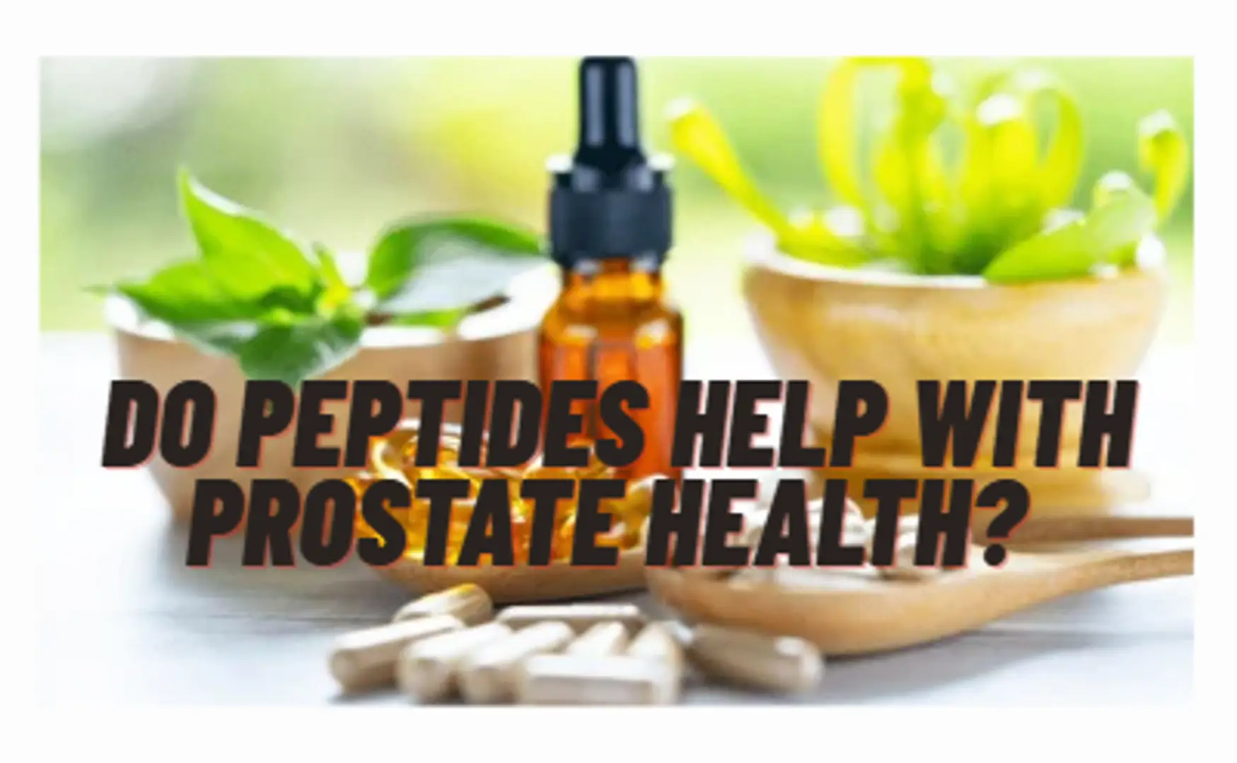 69323e33e32061c21f741bb2